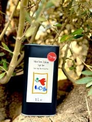 YENİ HASAT AYVALIK 1LT Naturel Sızma Zeytinyağı (Hasat Zamanı Ekim 2025)