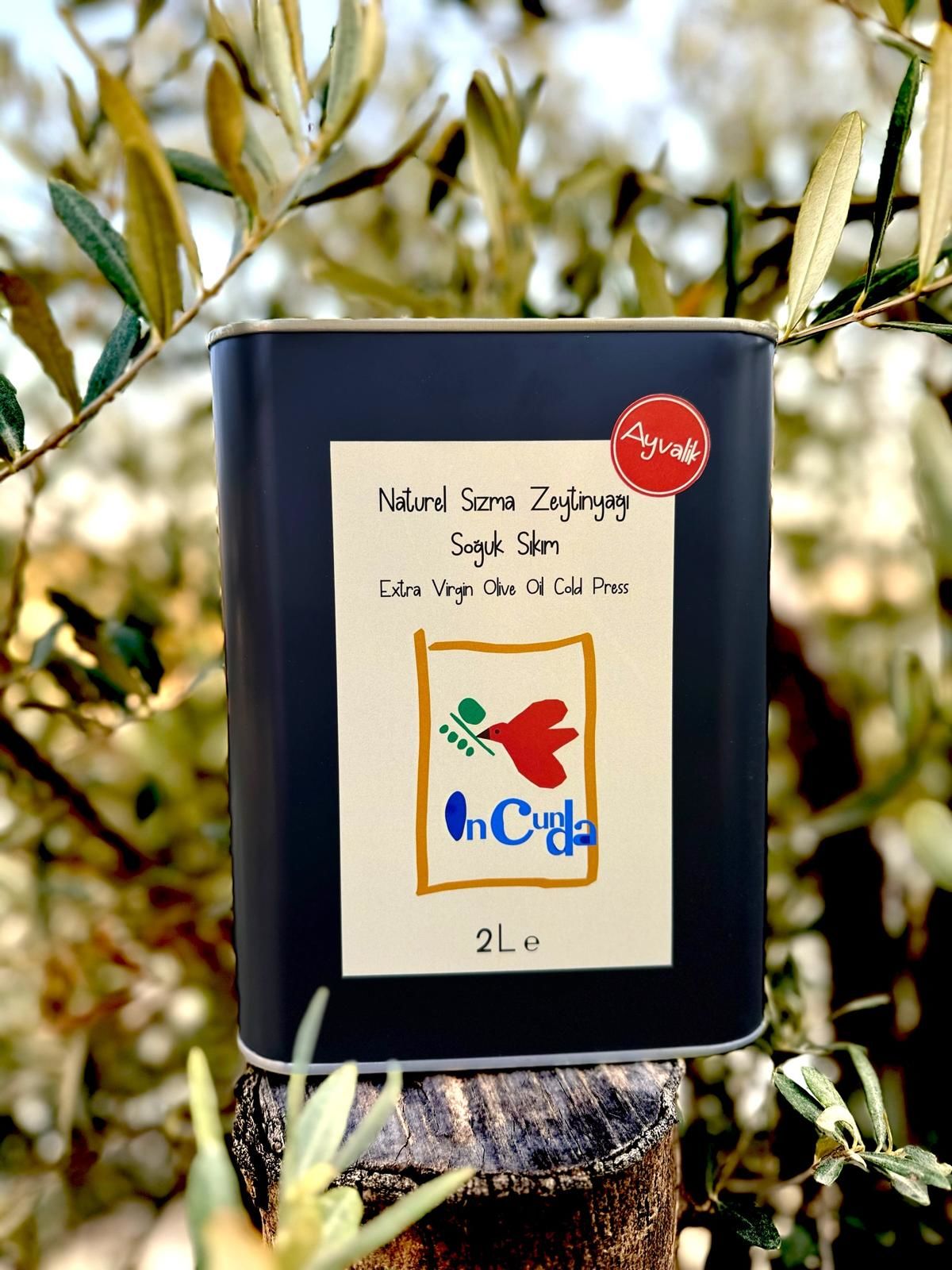 YENİ HASAT AYVALIK 2LT Naturel Sızma Zeytinyağı (Hasat Zamanı Ekim 2024)