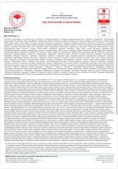 YENİ HASAT DOMAT 0,2 ASİT 2LT Naturel Sızma Zeytinyağı (Hasat Zamanı Ekim 2025)