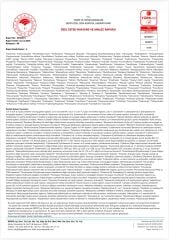 YENİ HASAT AYVALIK 250 ML Naturel Sızma Zeytinyağı (Hasat Zamanı Ekim 2025)