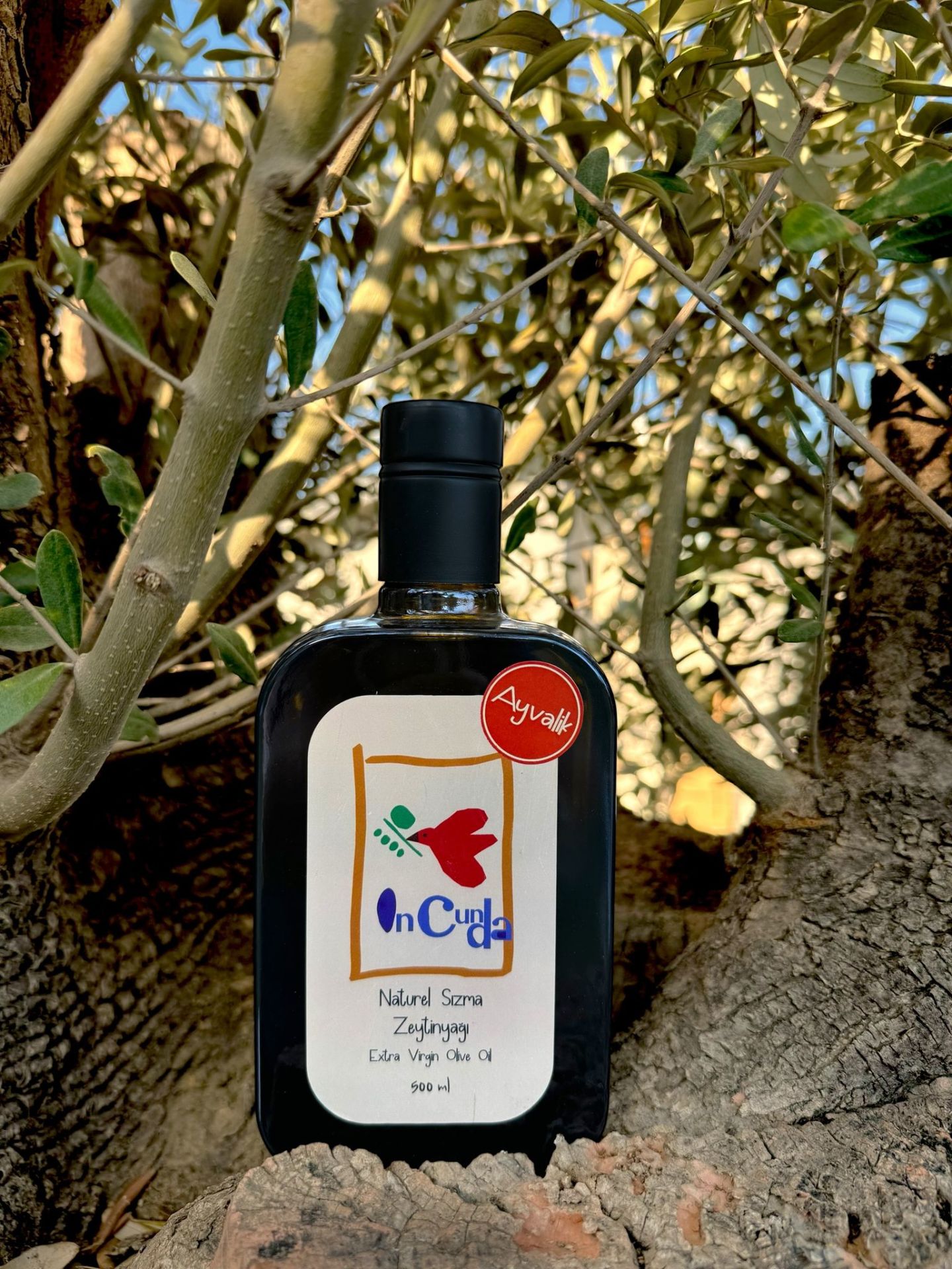 Yeni Hasat AYVALIK 500ML Naturel Sızma Zeytinyağı  (Hasat Zamanı Ekim 2025)