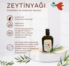 Yeni Hasat AYVALIK 500ML Naturel Sızma Zeytinyağı  (Hasat Zamanı Ekim 2025)