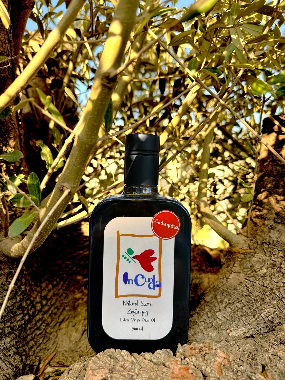 YENİ HASAT ARBEQUİNA 500 ML Naturel Sızma Zeytinyağı (Hasat Zamanı Ekim 2024)