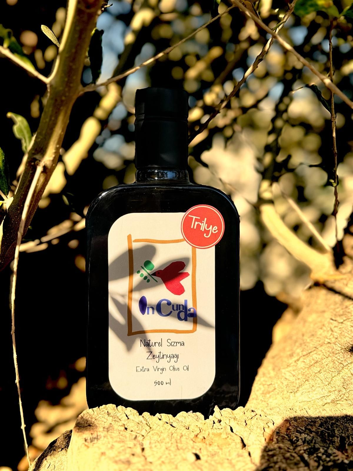 YENİ HASAT TRİLYE 500ML Naturel Sızma Zeytinyağı (Hasat Dönemi Ekim 2025)
