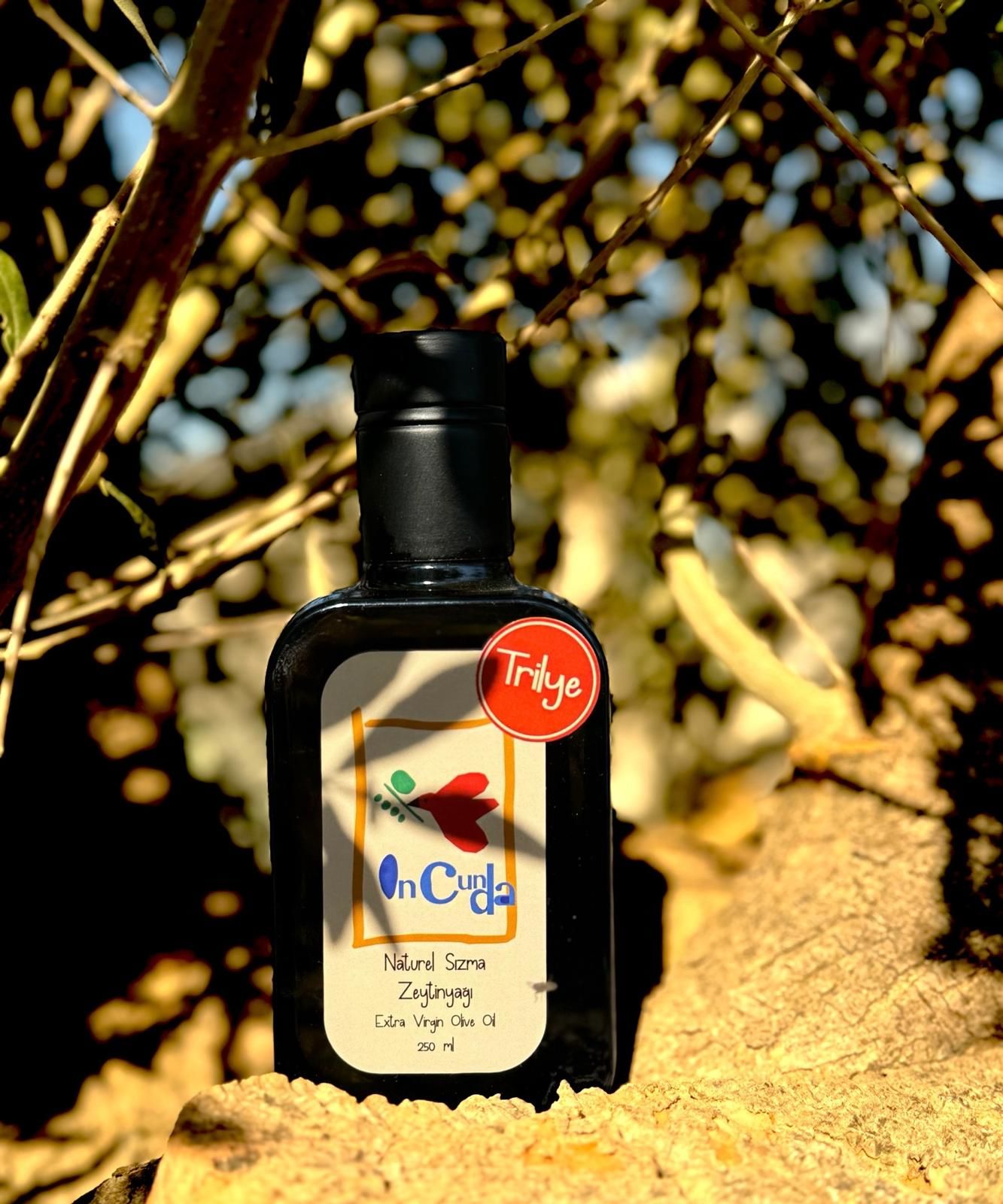 YENİ HASAT TRİLYE 250 ML Naturel Sızma Zeytinyağı (Hasat Dönemi Ekim 2025)