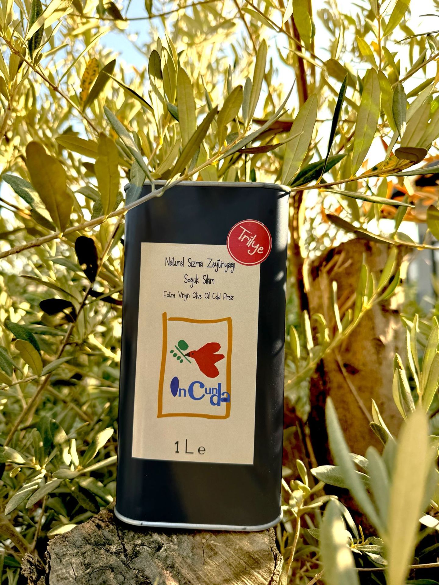 YENİ HASAT TRİLYE 1LT Naturel Sızma Zeytinyağı (Hasat Dönemi Ekim 2025)