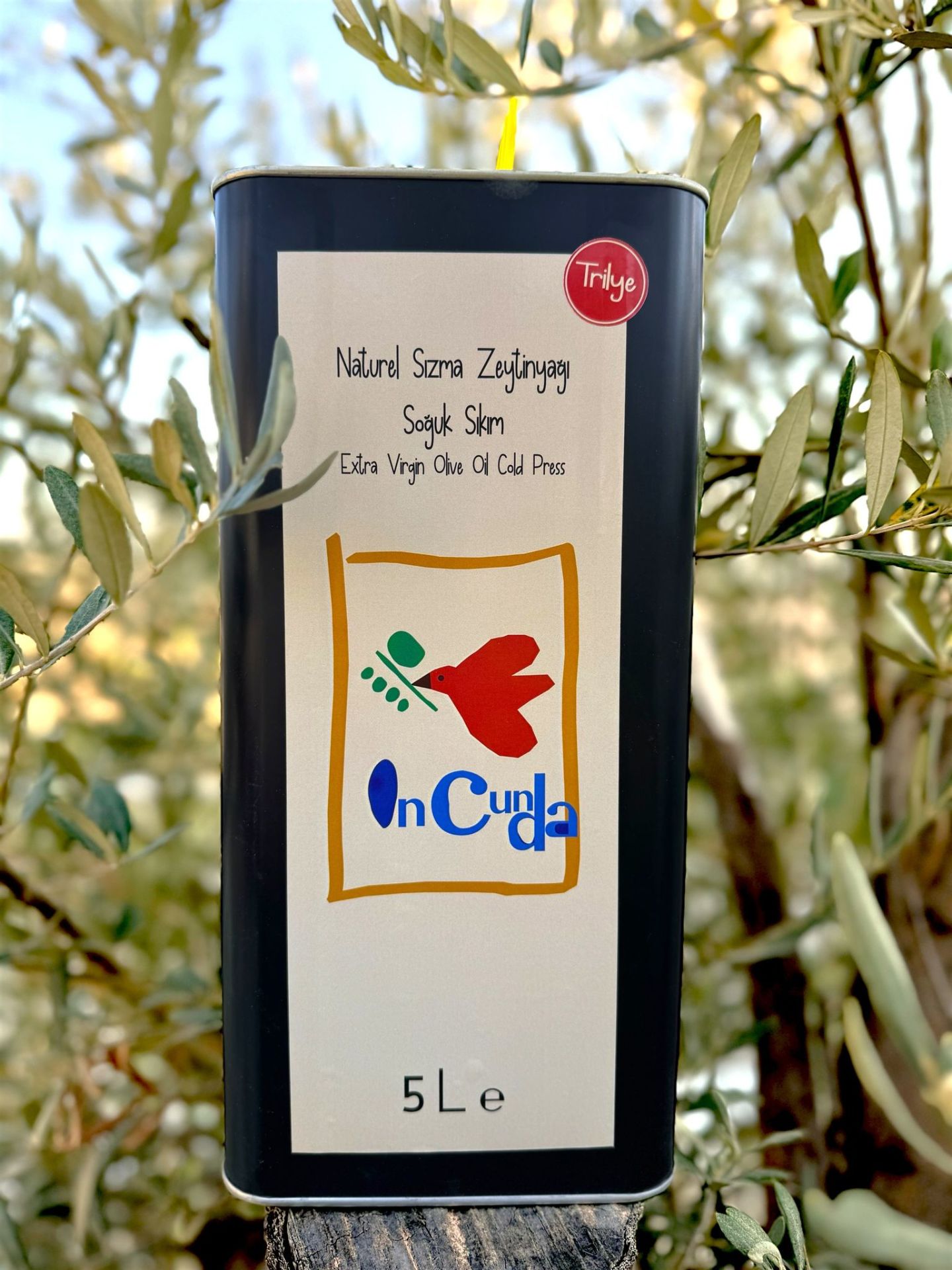 YENİ HASAT TRİLYE 5LT Naturel Sızma Zeytinyağı (Hasat Dönemi Ekim 2024)